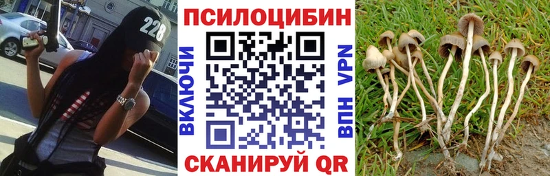 цены наркотик  Сосновоборск  Галлюциногенные грибы Cubensis 
